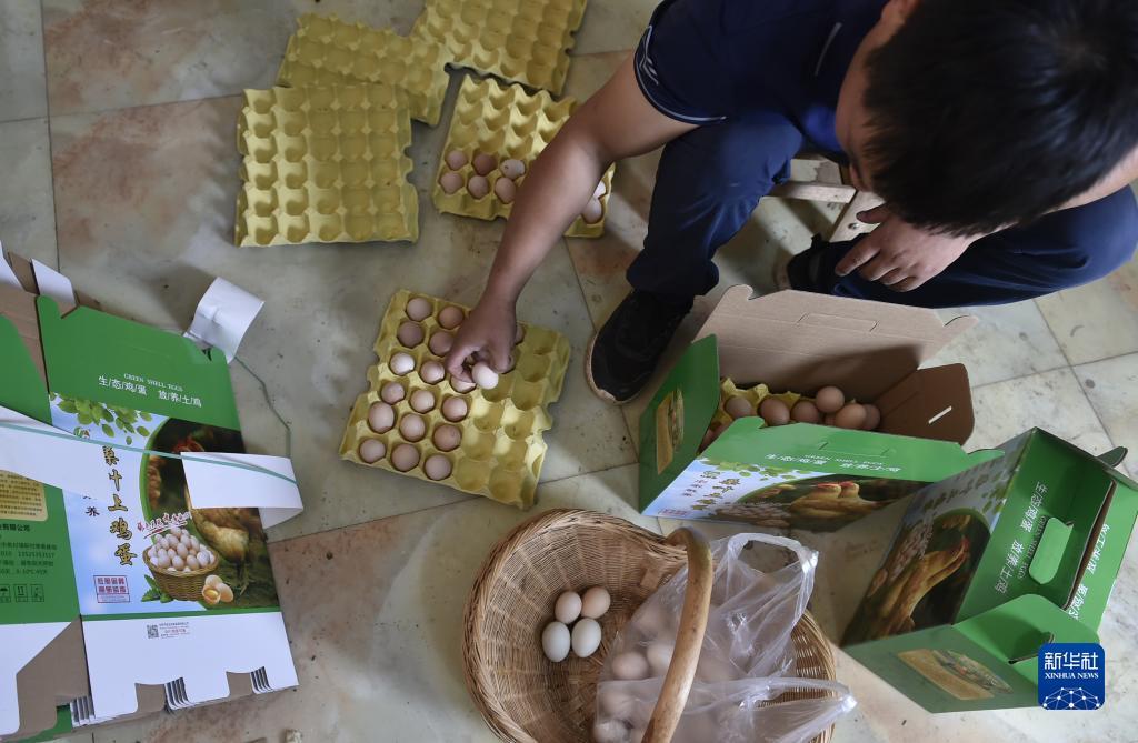 中国棋牌网官网